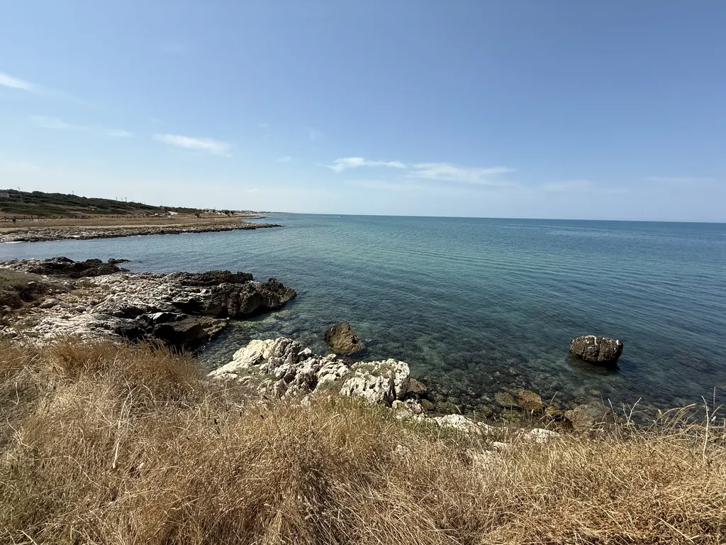 Costa rocciosa bassa, mare calmo, erba secca in primo piano