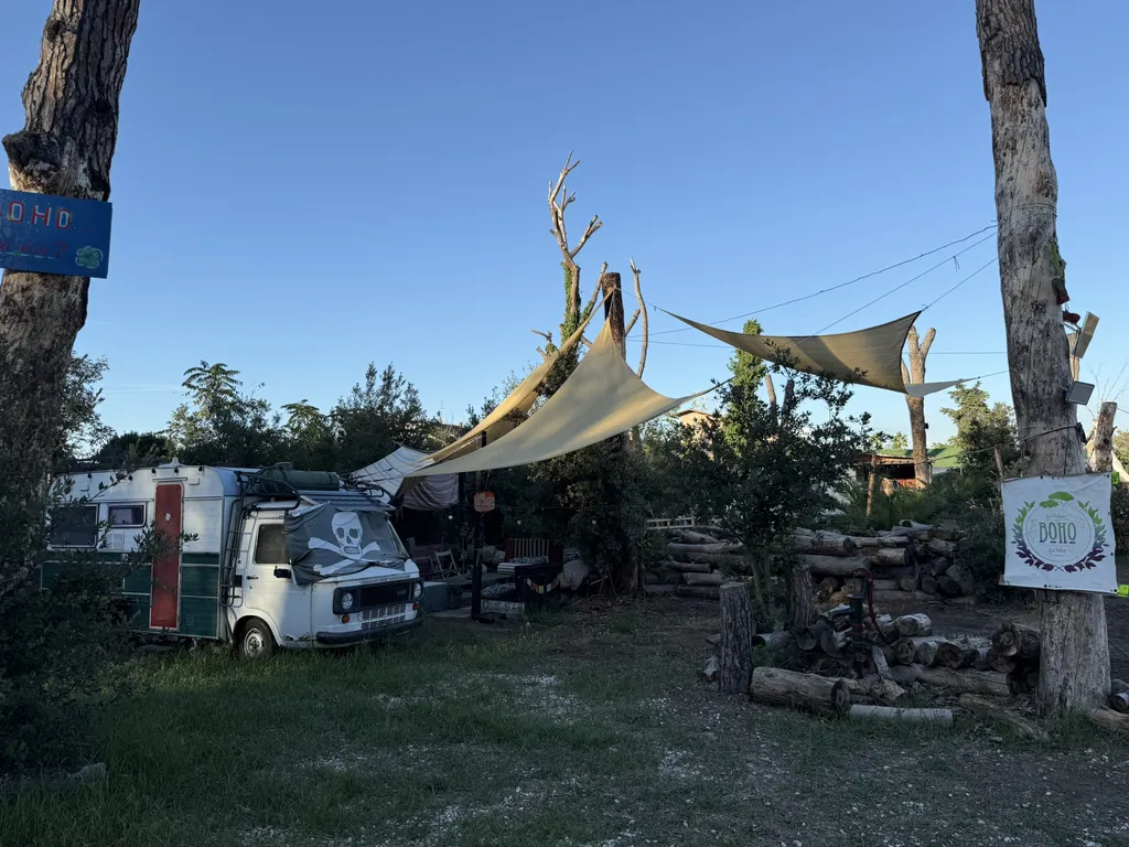 Un vecchio camper dipinto sotto vele ombreggianti, fra tronchi spogli.