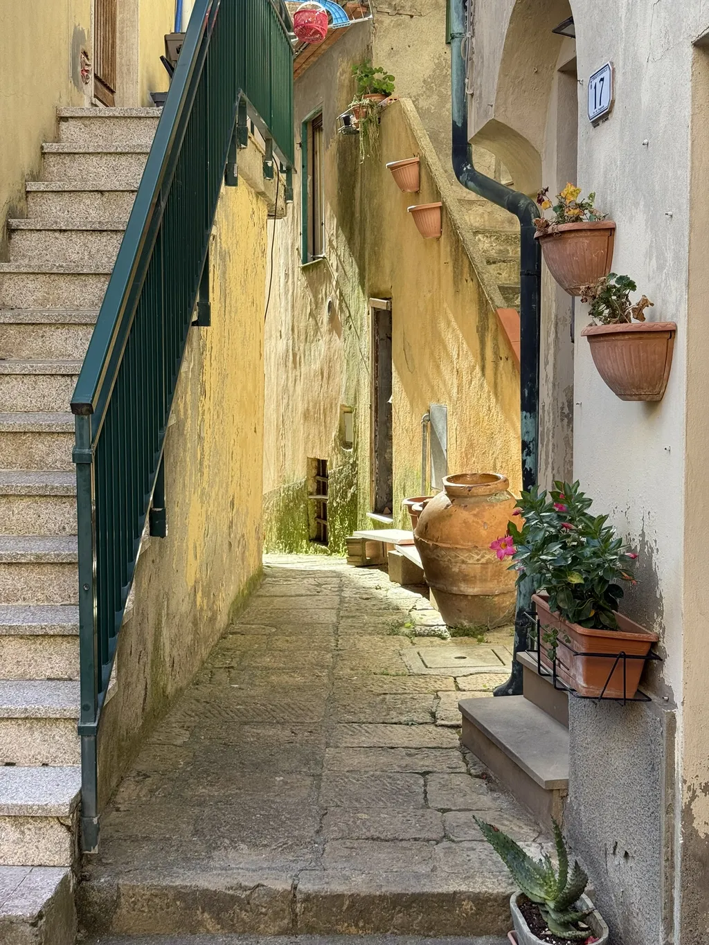 Un vicolo stretto con dei gradini e vasi di fiori sul muro.